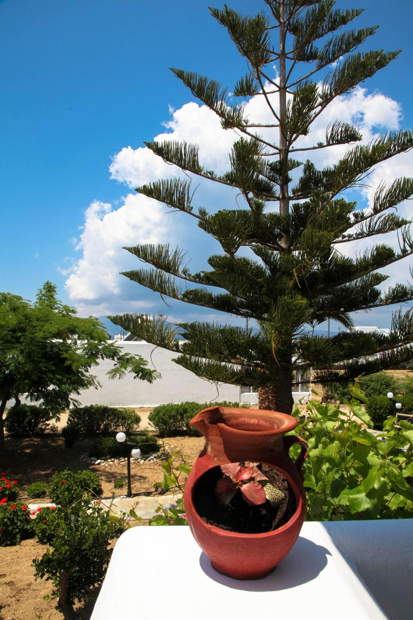 Maroussa Studios Agia Anna  Exteriér fotografie